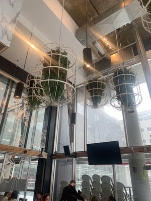 Ginkgo Café & Bar by null