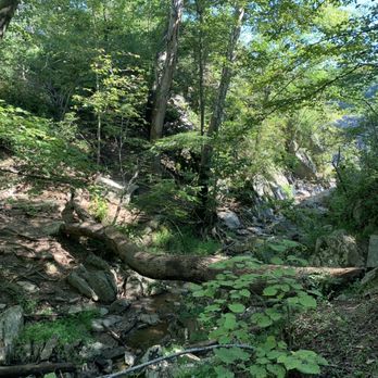 Great Falls Park - Parks Near Me - McLean, Virginia