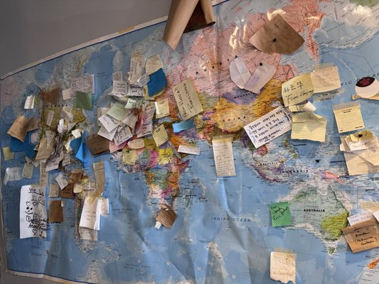 Neon Pig Tupelo by null