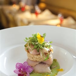 Restaurant Opera - Vorspeise