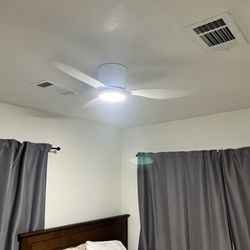 Dexterous Hands Works - Ceiling fan installation