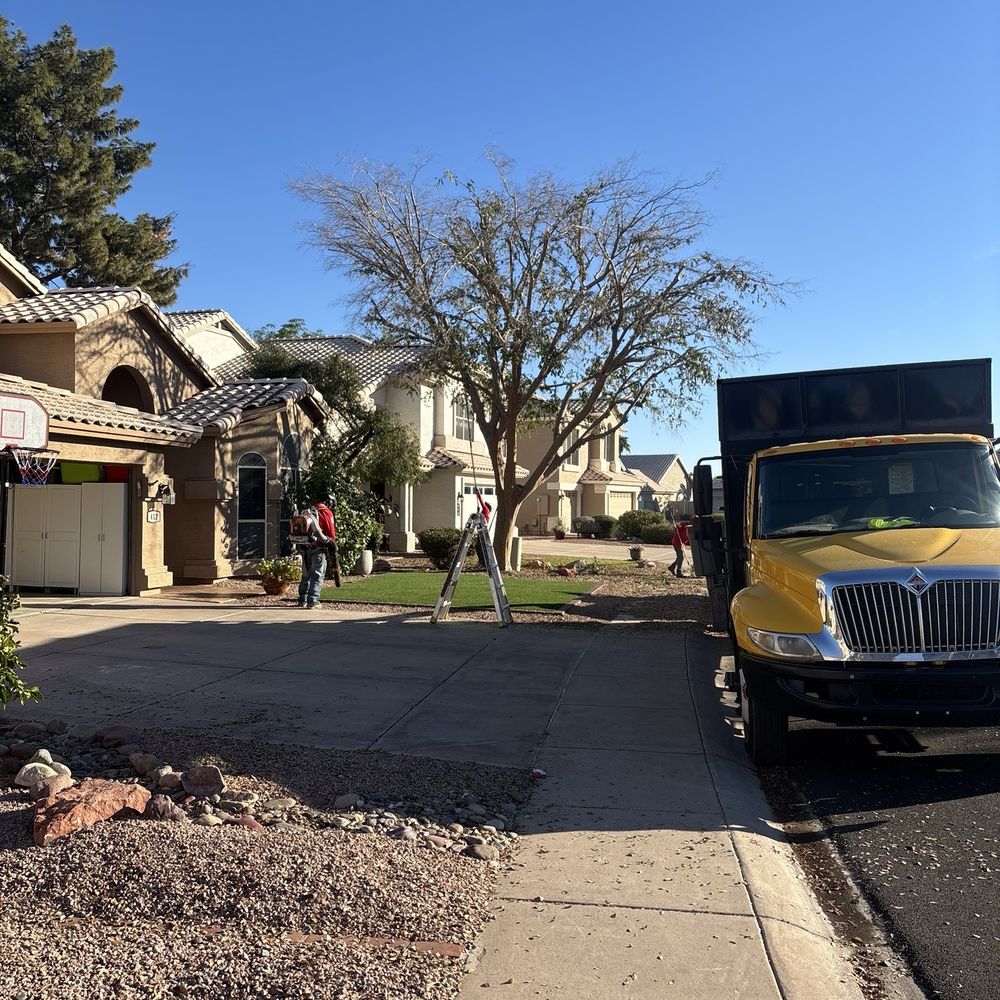 B&C Tree Service - After - Tree Services Near Me