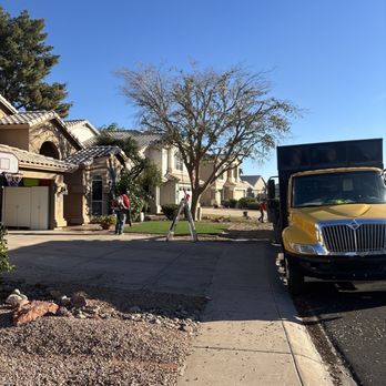 B&C Tree Service - After - Tree Services Near Me