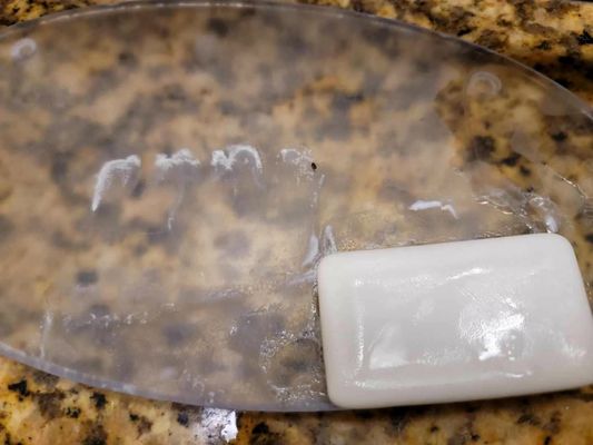 QUALITY INN FLAMINGO - Updated January 2025 - 54 Photos & 79 Reviews