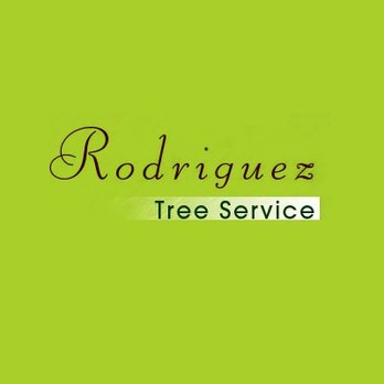 Rodriguez Tree Service - Tree Services Near Me - Tyler, Texas Rodriguez Tree Service - Tree Services Near Me - Tyler, Texas