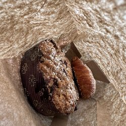 Wave Hill Breads - Coffee Cake and pastry