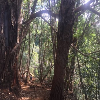 Waimea Canyon Lookout - Once is enough. Tough sledin - Hiking Near Me