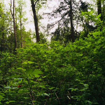 Saint Edward State Park - Bush - Parks Near Me - Kenmore, Washington
