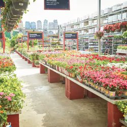 The Home Depot