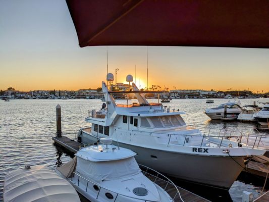 Rusty Pelican by null