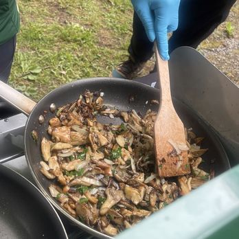 Forage Seattle - Food Tours Near Me