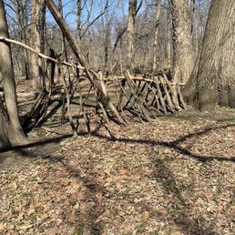 Off trail area