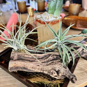 Mandala Cantina - Mandala blanco cocktail-sin - Latin American Near Me - Downey, California Mandala Cantina - Mandala blanco cocktail-sin - Latin American Near Me - Downey, California