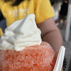 Sno To Go - Parrot head Stuffed SnoBall