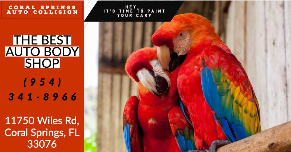 CORAL SPRINGS AUTO COLLISION Updated October 2024 37 Photos 11750