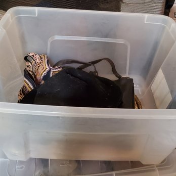 Budget Moving and Storage - ONE OF MORE THAN A DOZEN BINS--32 GAL SIZE--I FOUND LIKE THIS IN THE POD & PULLED OUT TO REPACK MYSELF. TRIED TO SHOW HIM, BUT HE RAN AWAY.! - Movers Near Me - Sacramento, California