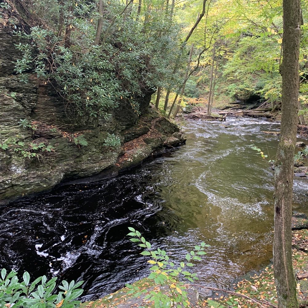 Bushkill Falls - Even the flats are really pretty and peaceful! - Tours Near Me - Bushkill, Pennsylvania Bushkill Falls - Even the flats are really pretty and peaceful! - Tours Near Me - Bushkill, Pennsylvania