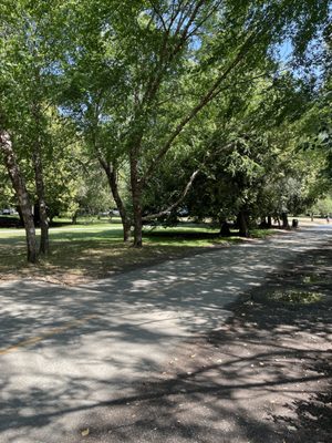 Green Lake Park by null