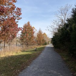 Trail