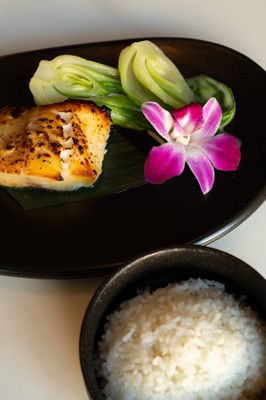 Kissaki Japanese Restaurant by null
