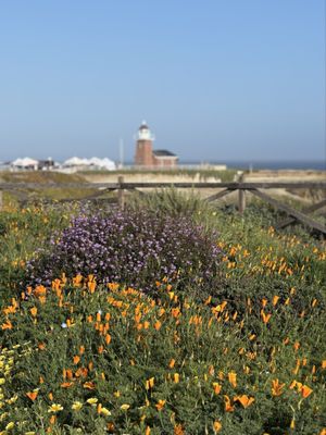 Lighthouse Field State Beach by null