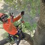 Photo of Over The Top Tree Service