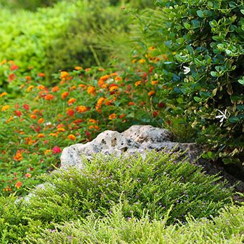 Terra Heights Landscaping - a garden with a stone wall and shrubbery - Lawn Services Near Me - Grass Valley, California Terra Heights Landscaping - a garden with a stone wall and shrubbery - Lawn Services Near Me - Grass Valley, California