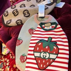 Gucci at Americana Manhasset - Pet clothing