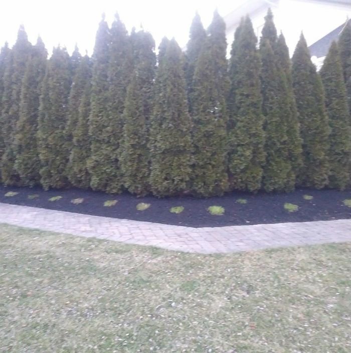 RIGHT TOUCH LANDSCAPING Williamstown, New Jersey Landscaping