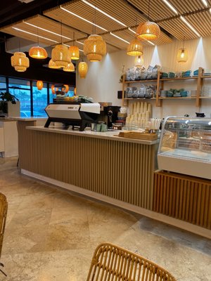 ALL YOU NEED - SUNNY by null