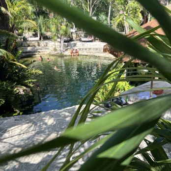 Vesica Tulum - Restaurants Near Me - Quintana Roo, ROO