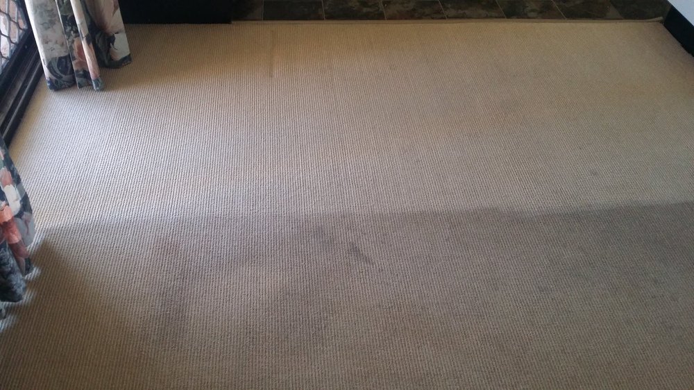 STEVE SCOTT’S CARPET CARE Updated May 2024 5 Chiffley Ct