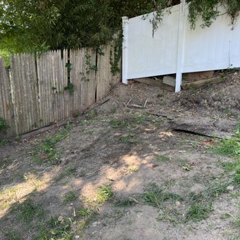 Junk Monster - After tree debris removal - Junk Removal & Hauling Near Me