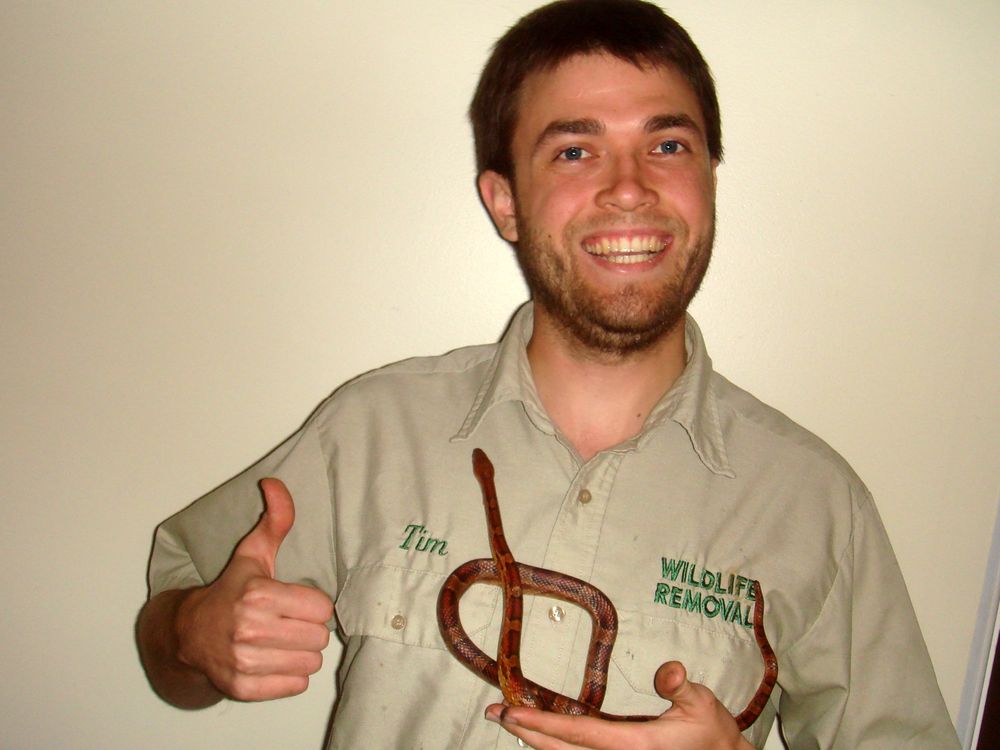 CHARLOTTE PEST & WILDLIFE CONTROL 34 Photos Charlotte, North