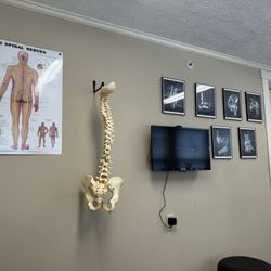 Brink Chiropractic Clinic - I believe chiropractor is necessary for overall wellness.