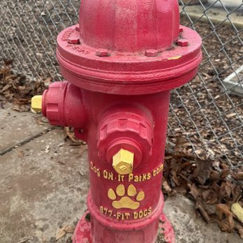 North Natomas Regional Park - I love this fire hydrant! - Dog Parks Near Me - Sacramento, California North Natomas Regional Park - I love this fire hydrant! - Dog Parks Near Me - Sacramento, California