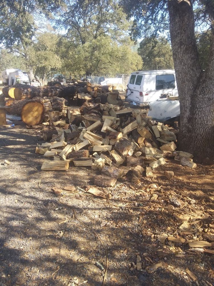 Slide of Youngster&TheMuscle