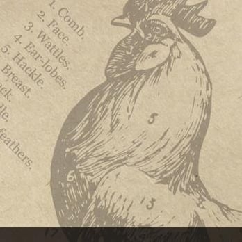 Camden Rotisserie - Chicken Wings Near Me - Dublin, D Camden Rotisserie - Chicken Wings Near Me - Dublin, D