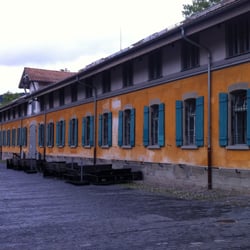 Stall 6