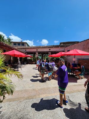 Venetian Pool by null