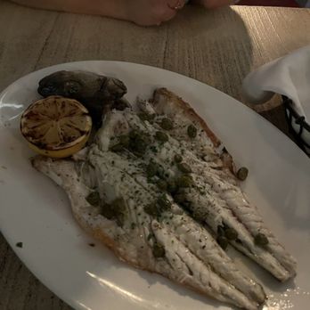 Aliada - Branzino - Greek Near Me - Astoria, New York