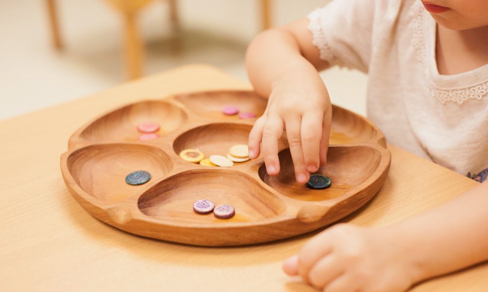 Lupine Montessori School - childcare center in Lockport, IL