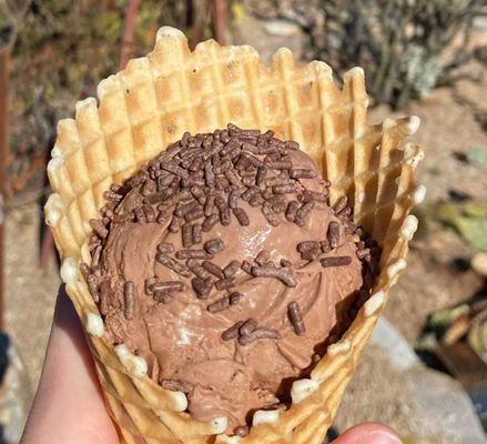 The City Creamery by null