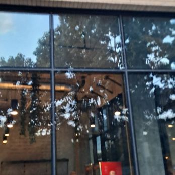 You Say - Coffee & Tea Near Me - Philadelphia, Pennsylvania