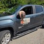 Photo of JDL Pest Control Services