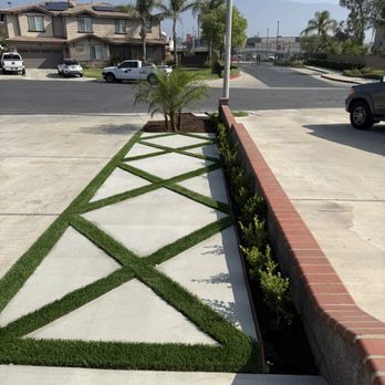 Roth Landscaping - Diamond lined concrete with modern look turf strips. Japanese box wood bush and palm trees! - Landscaping Near Me Roth Landscaping - Diamond lined concrete with modern look turf strips. Japanese box wood bush and palm trees! - Landscaping Near Me