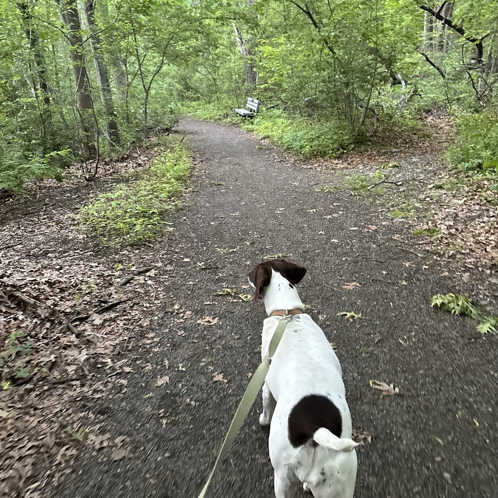 Cold Spring Park - Beautiful trails - Parks Near Me - Newton, Massachusetts Cold Spring Park - Beautiful trails - Parks Near Me - Newton, Massachusetts