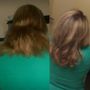 Photo of Head Snip