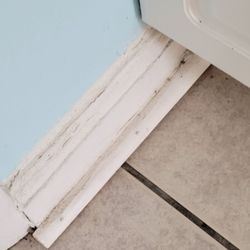 Saratoga Inn - Dirty kitchen floor