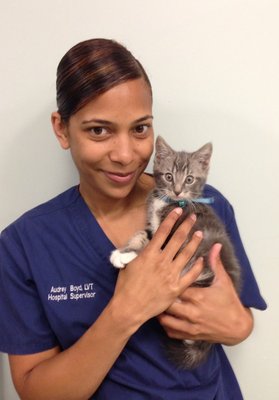 West Village Veterinary Hospital by null